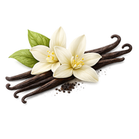 Vanilla