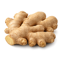 Ginger