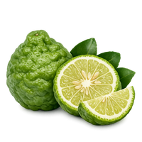 Bergamot