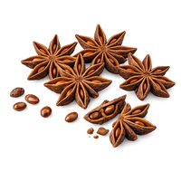Star Anise